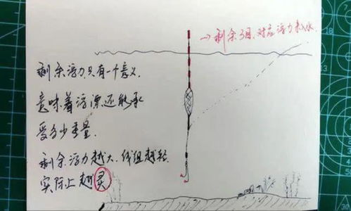 如何看待钓鱼圈的大师们 既当钓手征战赛场,又做老板角逐商海