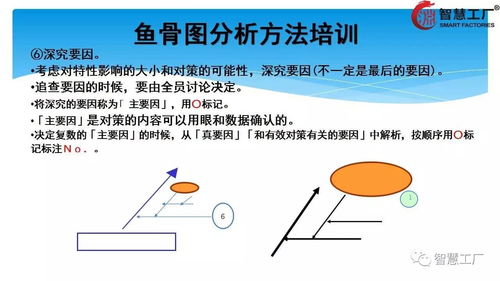 详细的8D根本原因分析 5why 鱼骨图