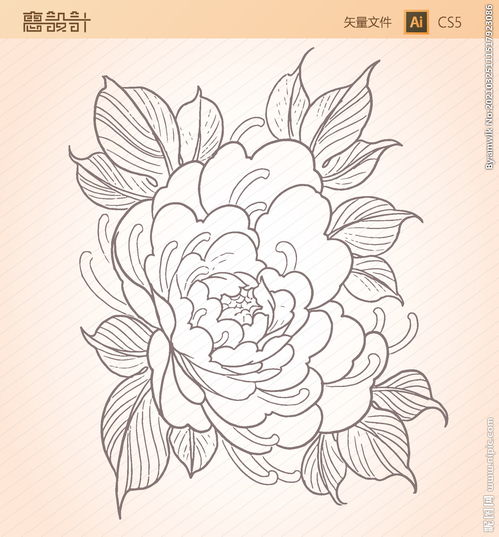 白描叶子手绘花朵线描图片 