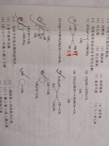 这些黑色打勾的怎么命名 