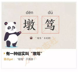 bonk俚语是什么意思怎么说, bok俚语是什么?