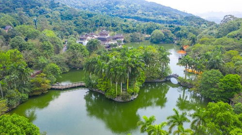 广西 五天四夜自驾旅行,发现最美北部湾滨海风光