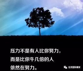 向上的路,并不拥挤 因为,大部分人选择了安逸 一语点醒