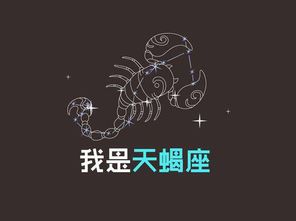 弹性地板十二星座配之神秘天蝎座