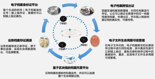 区块链实体经济案例研究