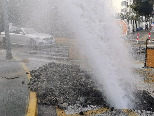 今日,嘉定这里全是水