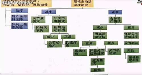 资料 常见脊柱疾病解读课程,康复人应该掌握的影像学判读