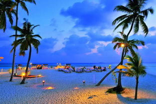 【马尔代夫七日游预定】攻略大揭秘，尽享浪漫海岛之旅！
