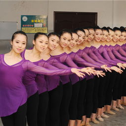 石家庄高考舞蹈培训班,艺术生文化课培训学校哪个好