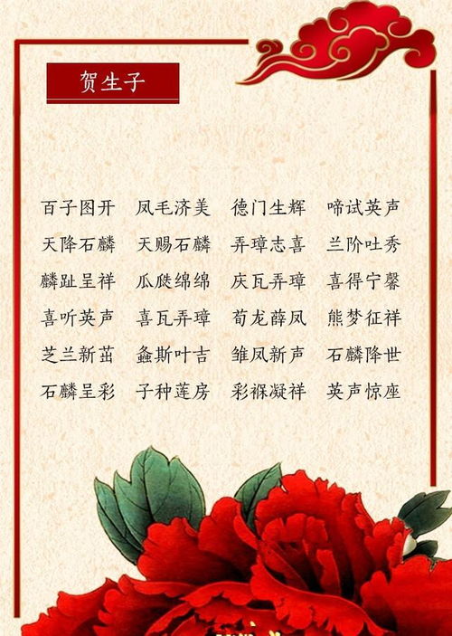 多丽咏白菊图片