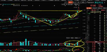 DDX、资金流向均为负，但主力持仓增加意味着什么？