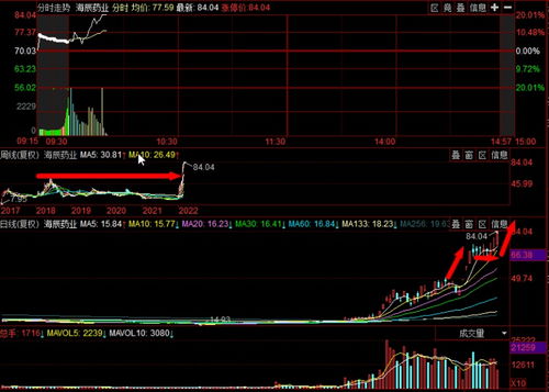 主流板块龙头股的形态和启动方式有哪些