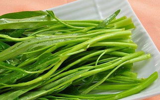 空心菜有重金属沉淀,属于有毒蔬菜 常吃空心菜易抽筋