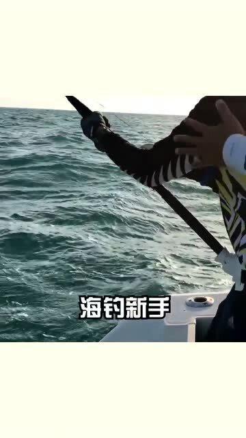 海钓新手出来练手,居然钓到一条海鳗,运气太好了 