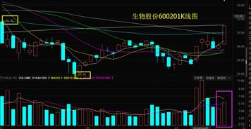 新中基后市走势...什么时候介入为好