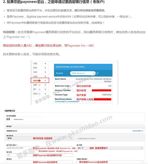 p卡官网入口 p卡官网入口 词条