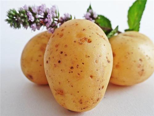 每天应该吃多少土豆可以减肥 