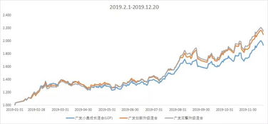 买了新的基金，建仓期要6个月，那从何时能查到净值变化