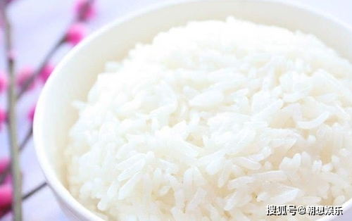 蒸米饭时,很多人第一步就搞错了,所以蒸出的米饭又硬又难吃