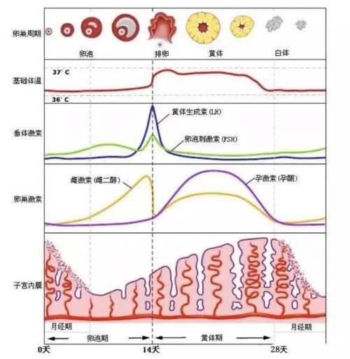 怎么 操作 中奖概率最高 原来是这样