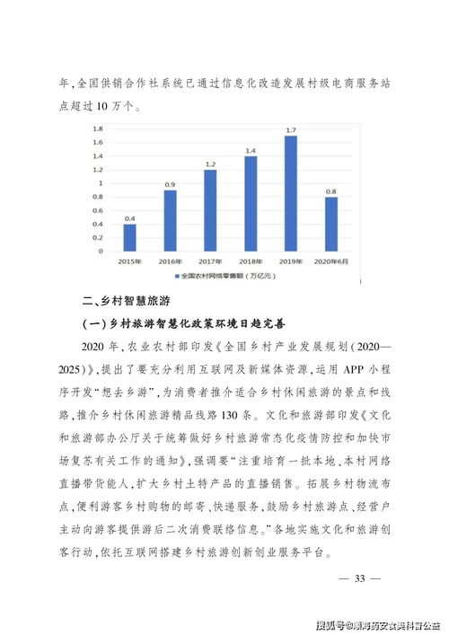 数字乡村战略是数字中国行测