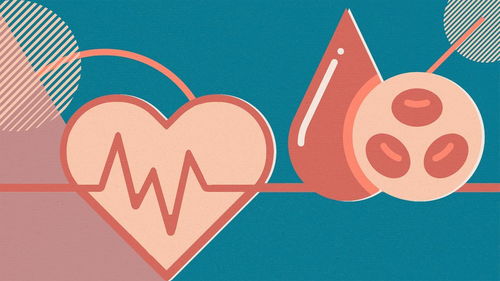 胆固醇与心脏病发作风险之间的联系