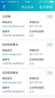  什么是ico交易平台,什么是ICO？ 元宇宙