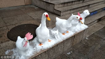 杭州迎来降雪天气 银行保安用雪雕鸡鸭鹅狗栩栩如生