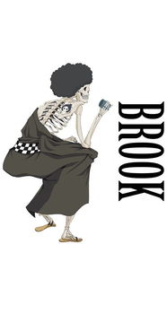 brook op va,Brook Op Va: A Comprehensive Overview