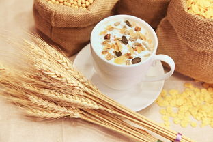 早餐燕麦的 10 种新奇吃法，让你的早餐不再单调！