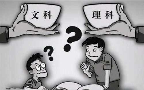 建议理科生高中学美术吗为什么(理科生走美术)