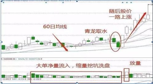 谁能告诉我中石油股还要跌多少啊