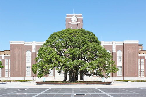 日本有名的大学(图2)