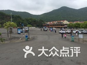 佛山南海哪里停车免费(南沙海边免费停车场在哪里)