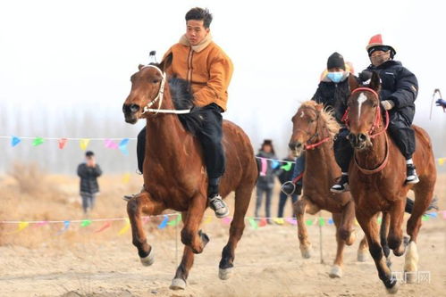 这个冬季不太冷 赛马大会点燃冬季旅游 热