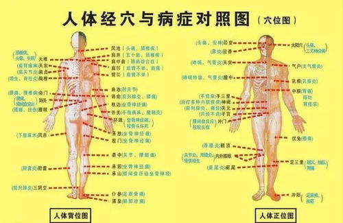 人体经络穴位与病症对照图,附带九宫手诊脏腑图,收藏一下吧