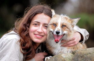 女子在树林救了受伤的狐狸 之后朋友都说是条狗狗 