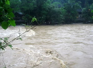 梦见河水上涨