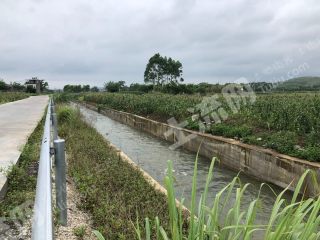 水浇地招拍挂价格信息 交易平台 土流网 