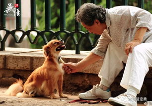 老人与狗 老年人养狗健康长寿的五大好处