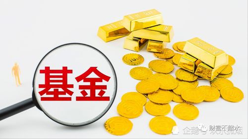 都买收益最高的基金