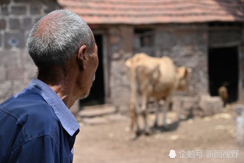 100岁长寿爷爷,与73岁单身儿子住在百年石头房,早餐能吃6个鸡蛋