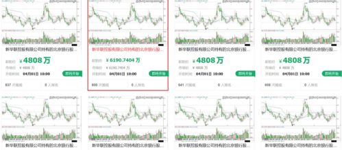 新华基金第四轮拍卖开始，降价超过2500万元，股权比例为35.3103%