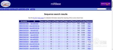 mirbase数据库,miRNA研究的得力助手