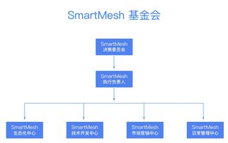 1inch使用教程,lspatch使用教程