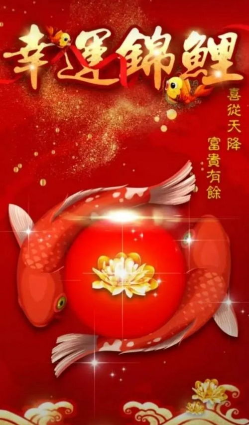 新年的第一天,看到第一张图片的你是个幸运的人,2020会行好运 