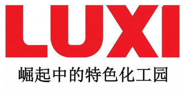 山东省鲁西化工股份有限公司的地址和法人电话是什么？有人知道吗？谢谢啦