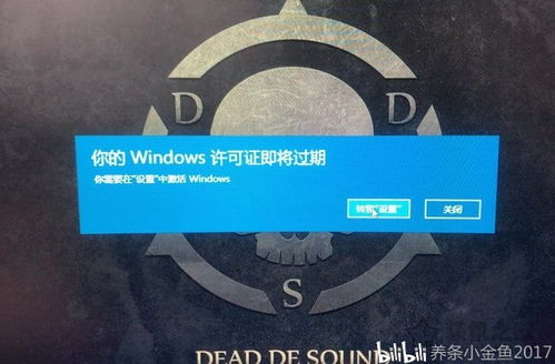 win10未显示数字激活码