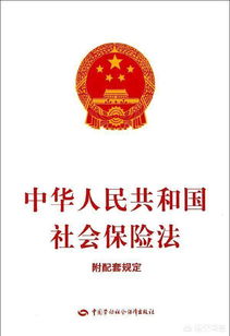 社会保险法是哪一年实施的(社会保险法24条)