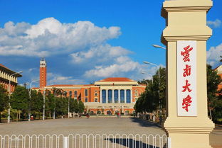 云南有哪些公办大学